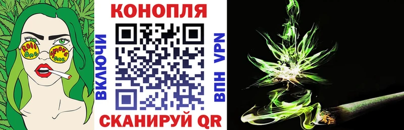 где купить наркоту  Камызяк  Конопля Bruce Banner 